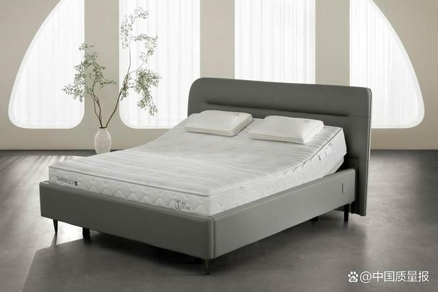 龙8国际电子平台AI智能床垫销售额突破亿元大关！ &ldquo;床顺应人&rdquo;理念广受关注